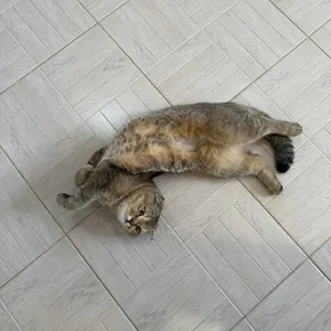 Фото 1