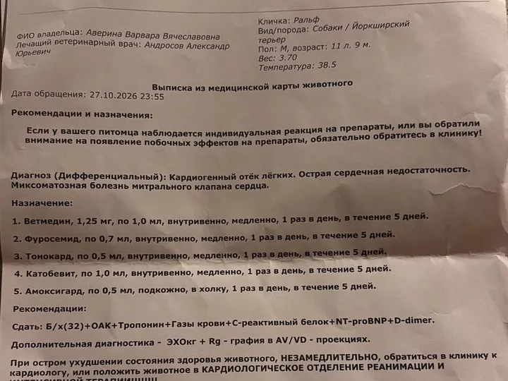 Нужна помощь: Москва