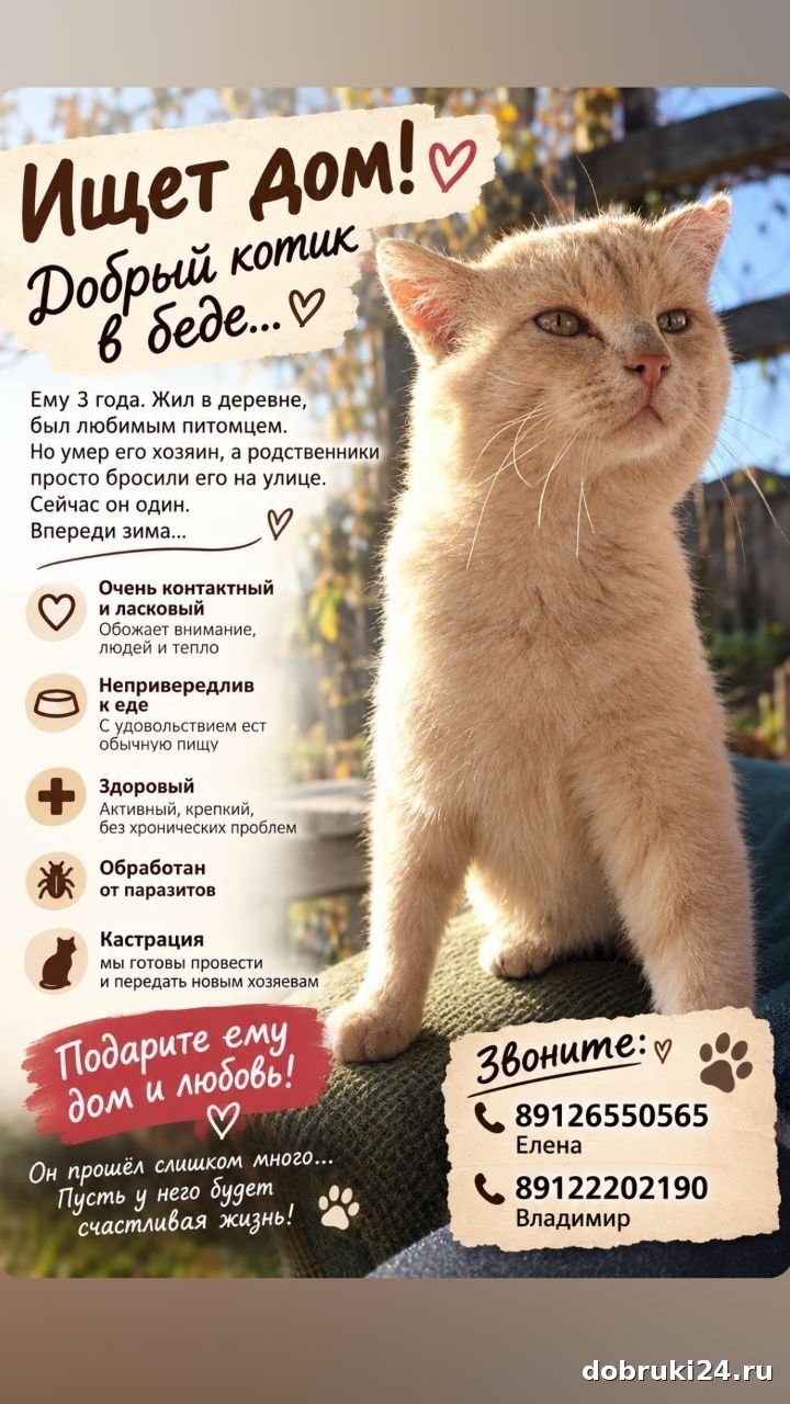 Ищет дом: Екатеринбург