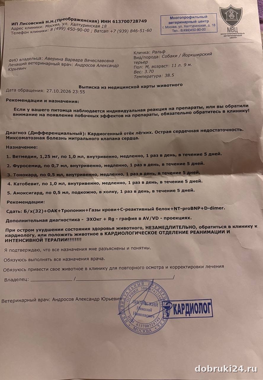 Нужна помощь: Москва