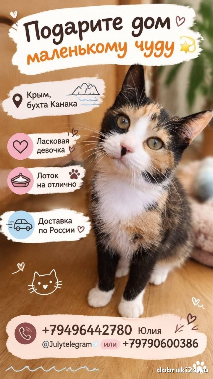 Ищет дом: Алушта
