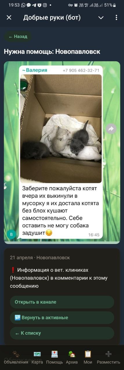 Ищет дом: Новопавловск