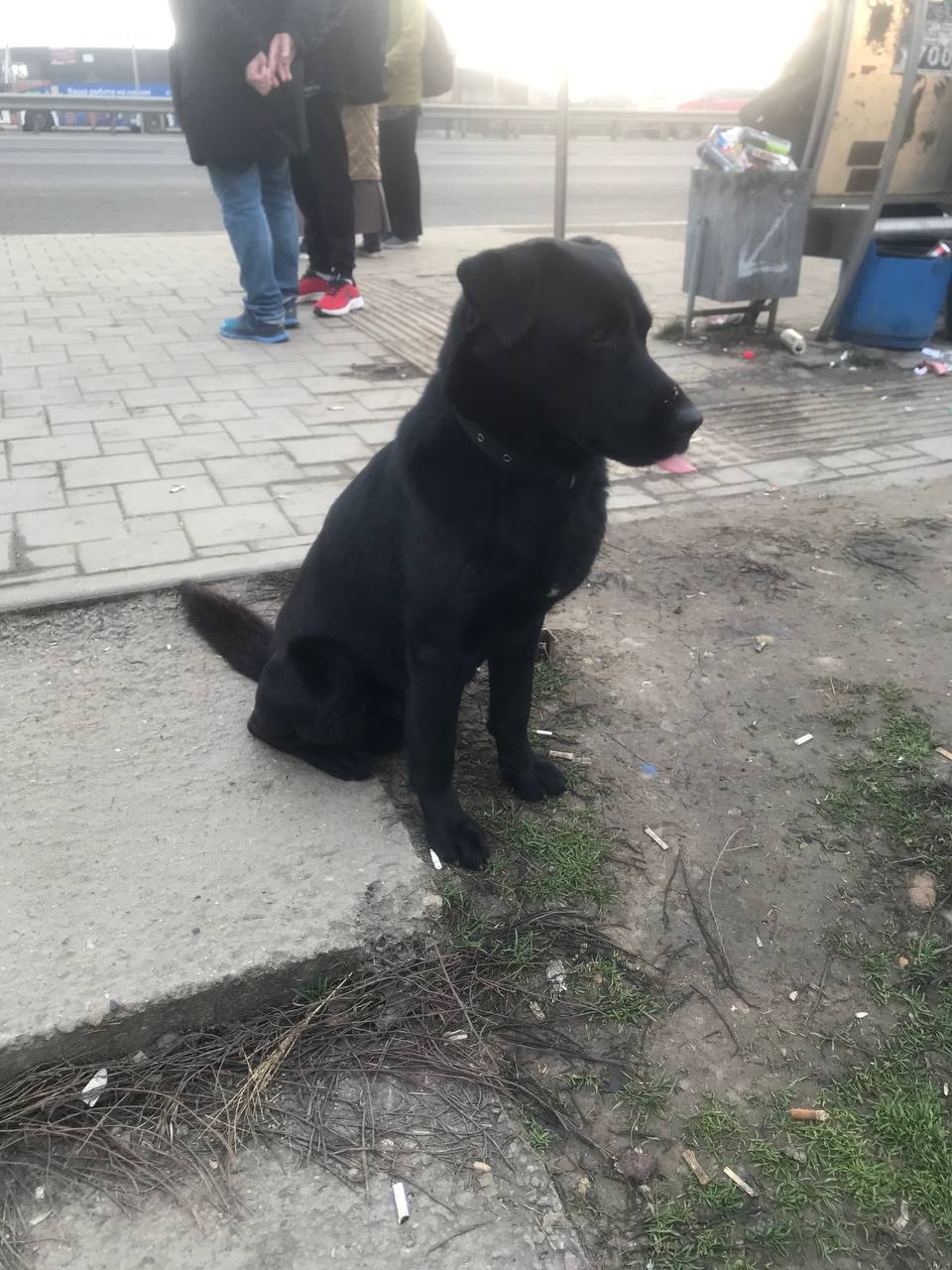 Найден: Новопавловск